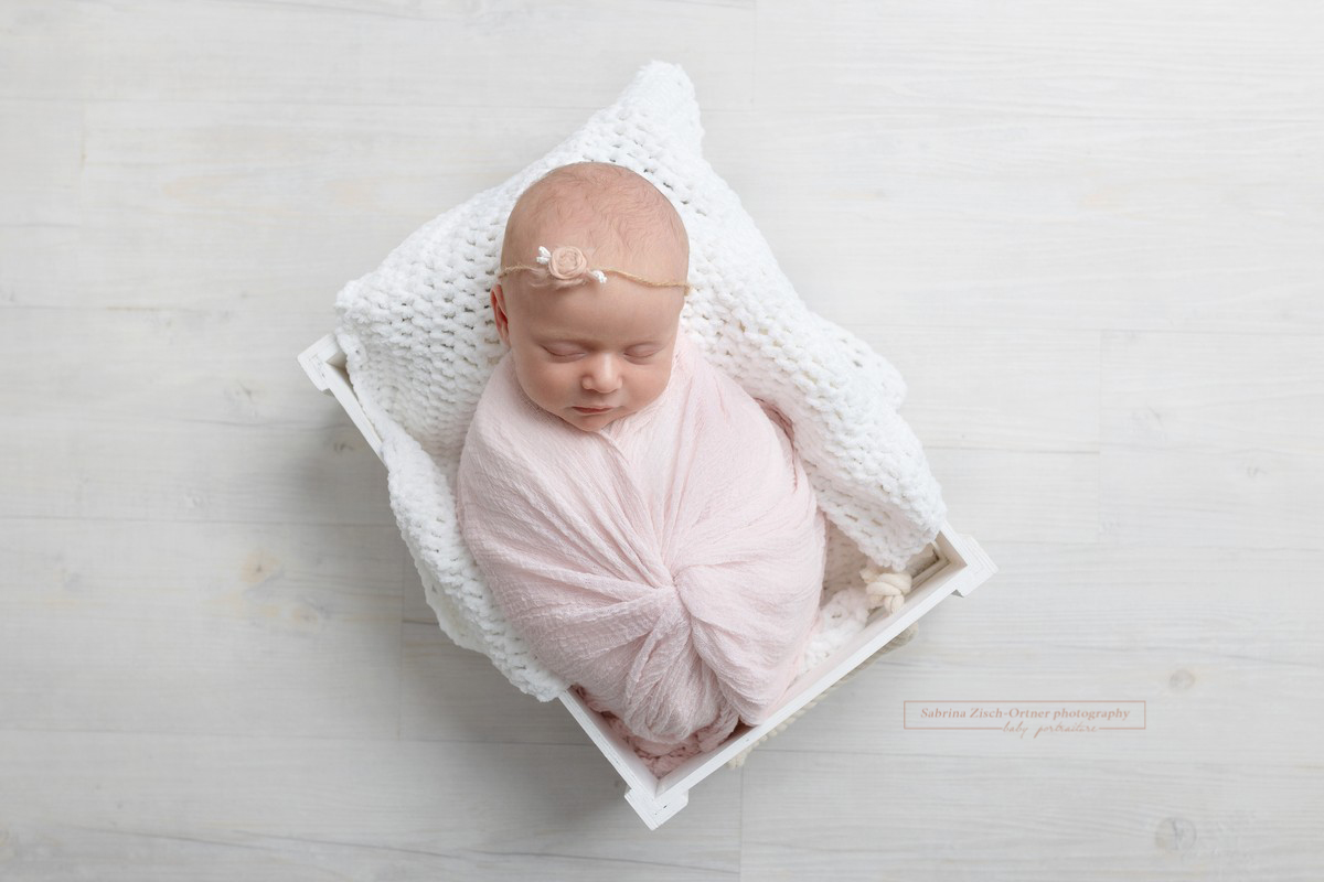 Baby Fotos vom Fotografen aus Wien und Umgebung